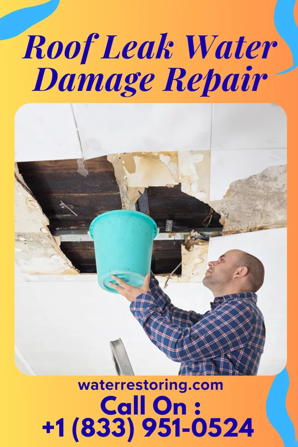 Roof Leak Water Damage Repair in Pender, NE